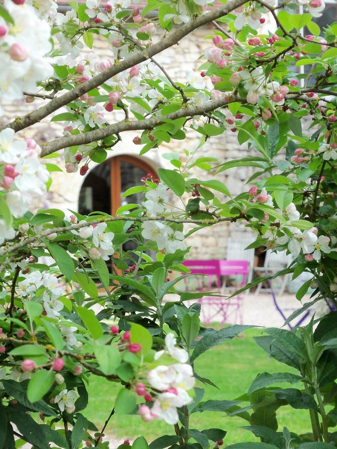 Chambres Et Jardin De Pierres Espedaillac Luaran gambar